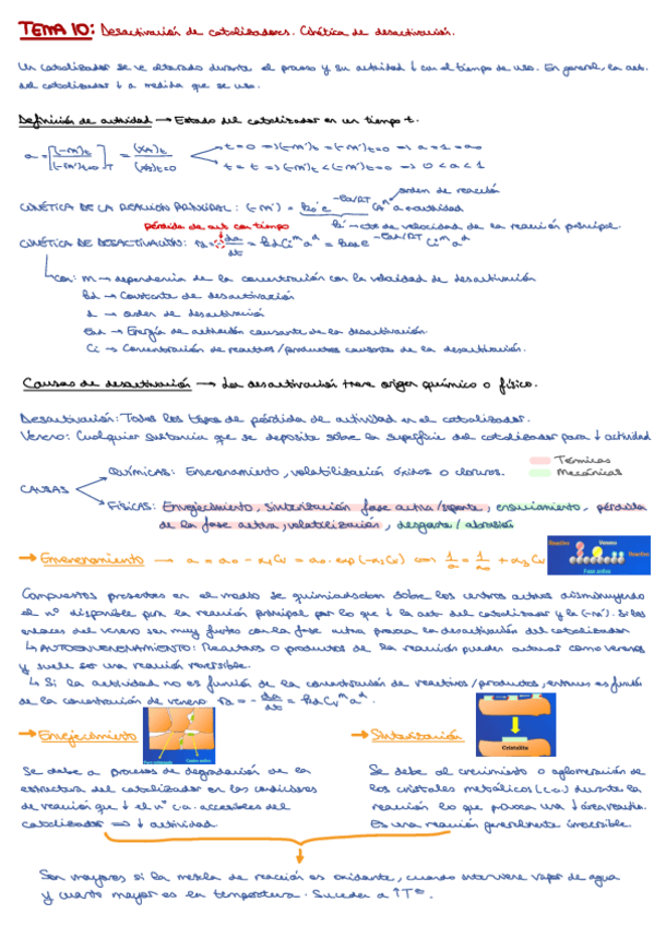Miniatura del documento TEMA-10.pdf