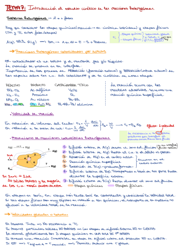 Miniatura del documento TEMA-7.pdf