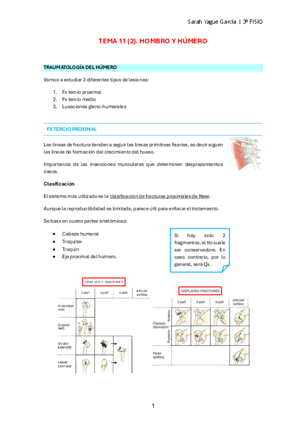Miniatura del documento MQII-T11-2-Hombro-y-Humero.pdf