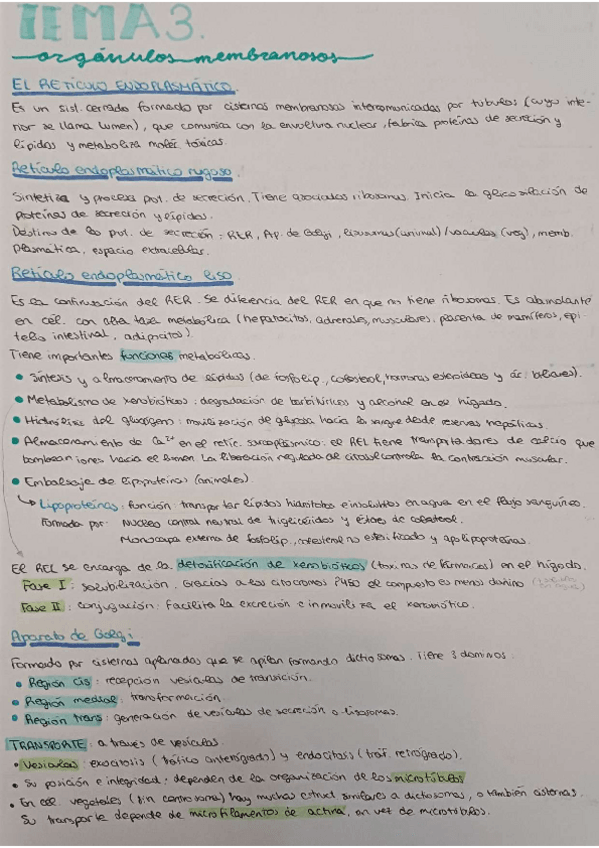 Miniatura del documento Apuntes-tema-3.pdf