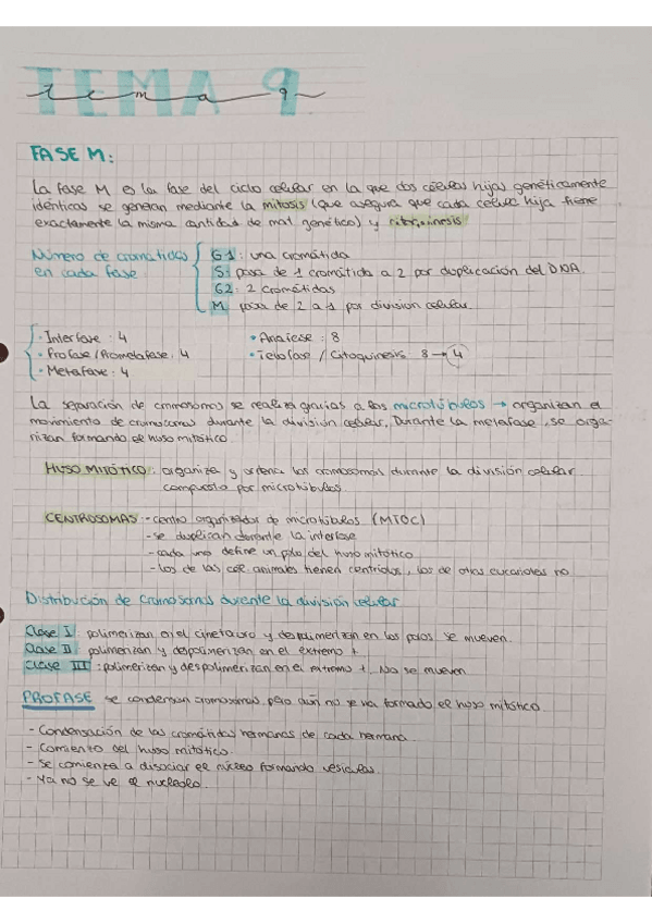 Miniatura del documento Apuntes-tema-9.pdf