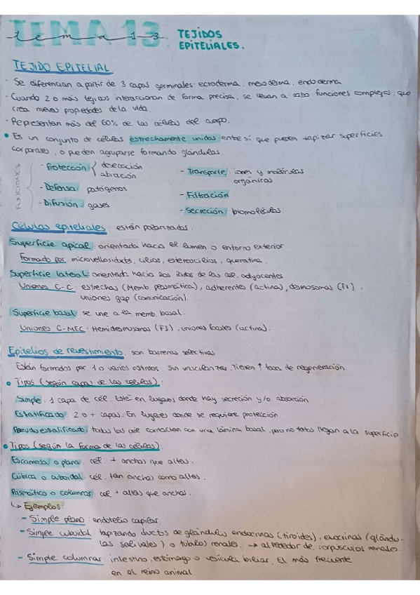 Miniatura del documento Apuntes-tema-13.pdf