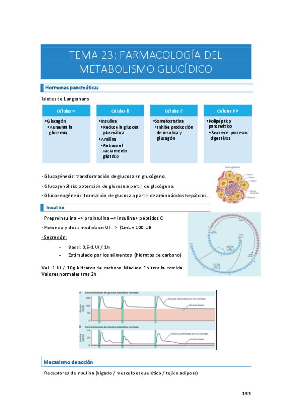 Miniatura del documento Apuntes-farma-temas-23-27-y-28.pdf