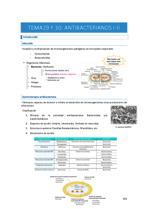 Miniatura del documento Apuntes-farma-temas-29-y-30.pdf