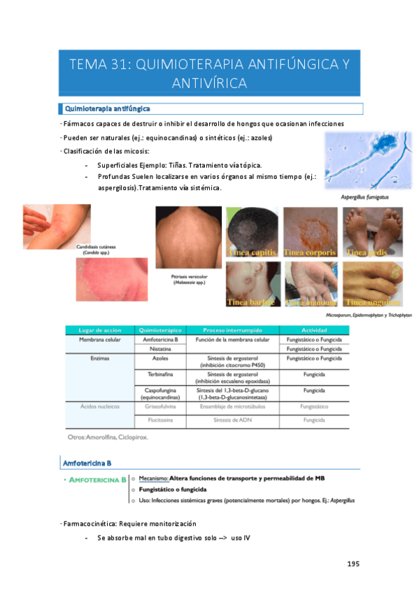 Miniatura del documento Apuntes-farma-temas-31-Y-32.pdf