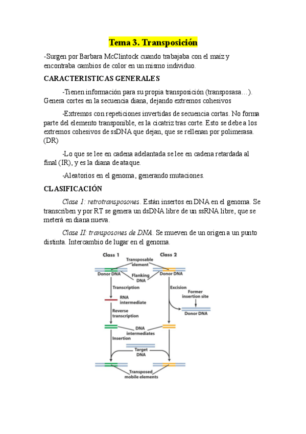 Miniatura del documento RESUMEN-ENTERO-DE-GENETICA-MOLECULAR.pdf