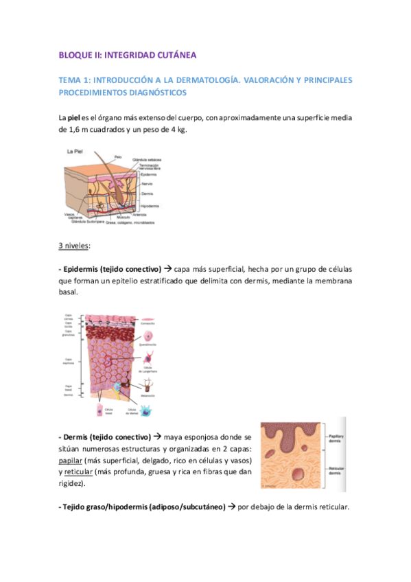 Miniatura del documento BLOQUE-II.pdf