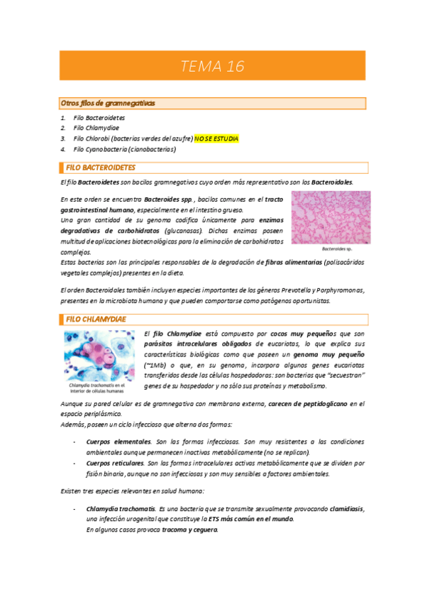 Miniatura del documento TEMA-16-MICROBIOLOGIA.pdf