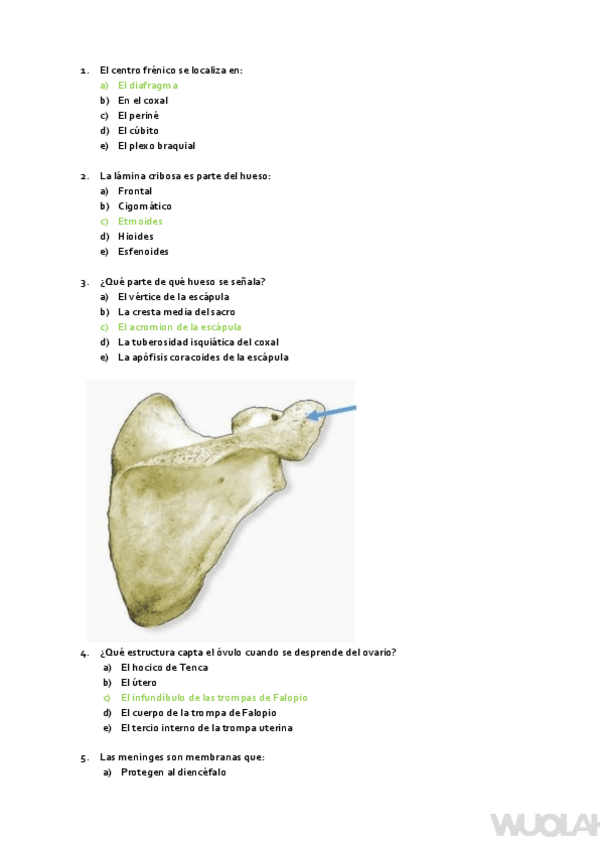 Miniatura del documento RECOPILATORIO-EXAMENES-ANATOMIA-ANOS-ANTERIORES.pdf