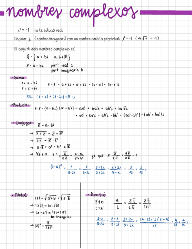 Miniatura del documento AlgebraLineal-NOMBRESCOMPLEXOS.pdf