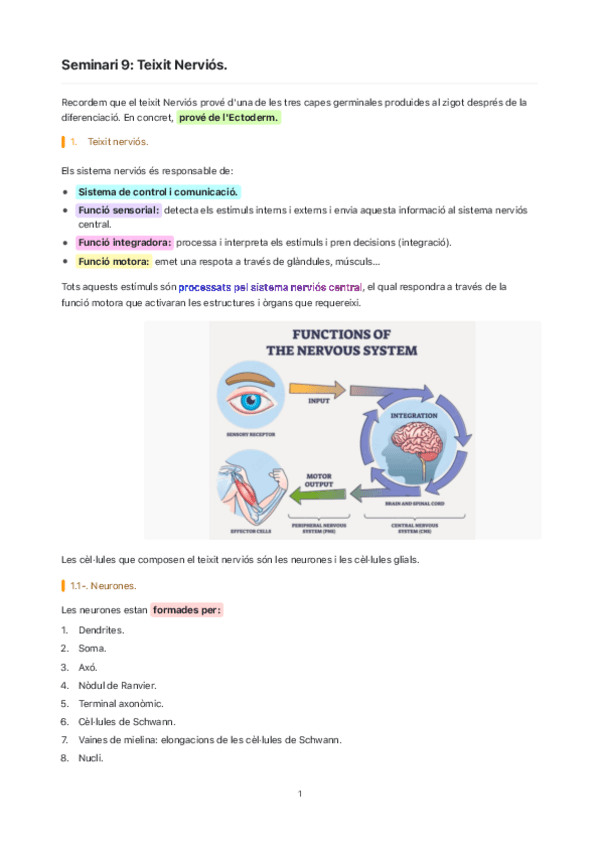 Miniatura del documento Seminari-9-Teixit-Nervios..pdf