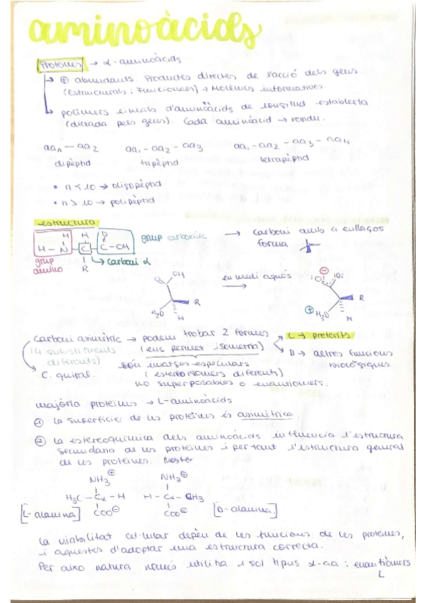 Miniatura del documento aminoacids-bio-part-1.pdf