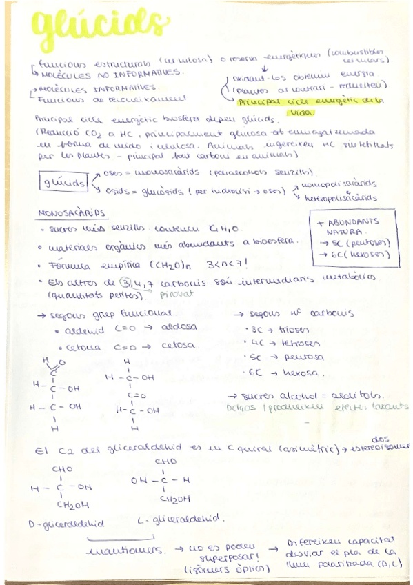 Miniatura del documento glucids-bio-part-1.pdf