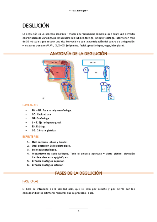 Miniatura del documento T.5 (Disfagia) - INT. HABLA Y FONV.pdf