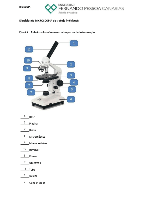 Miniatura del documento Ejercicio-2.-Microscopio..pdf