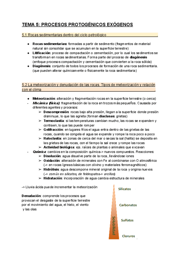 Miniatura del documento TEMA-5-PROCESOS-PROTOGENICOS-EXOGENOS.pdf