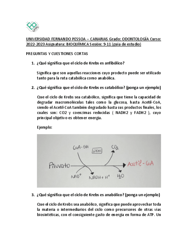 Miniatura del documento Guia-de-estudio-9-11.pdf