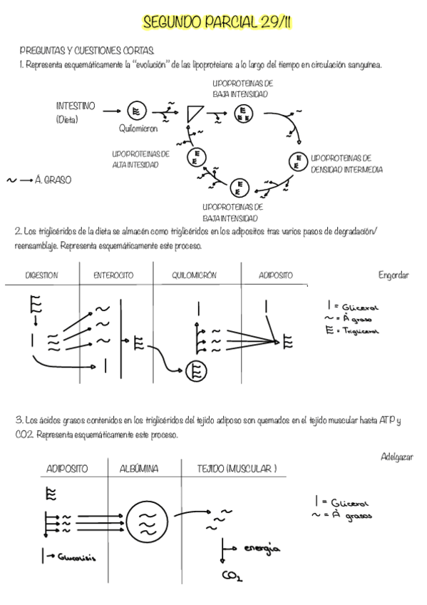 Miniatura del documento Bioquimica-2.pdf