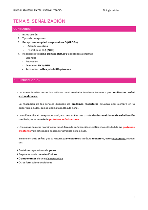 Miniatura del documento TEMA-5.-SENALIZACION.pdf