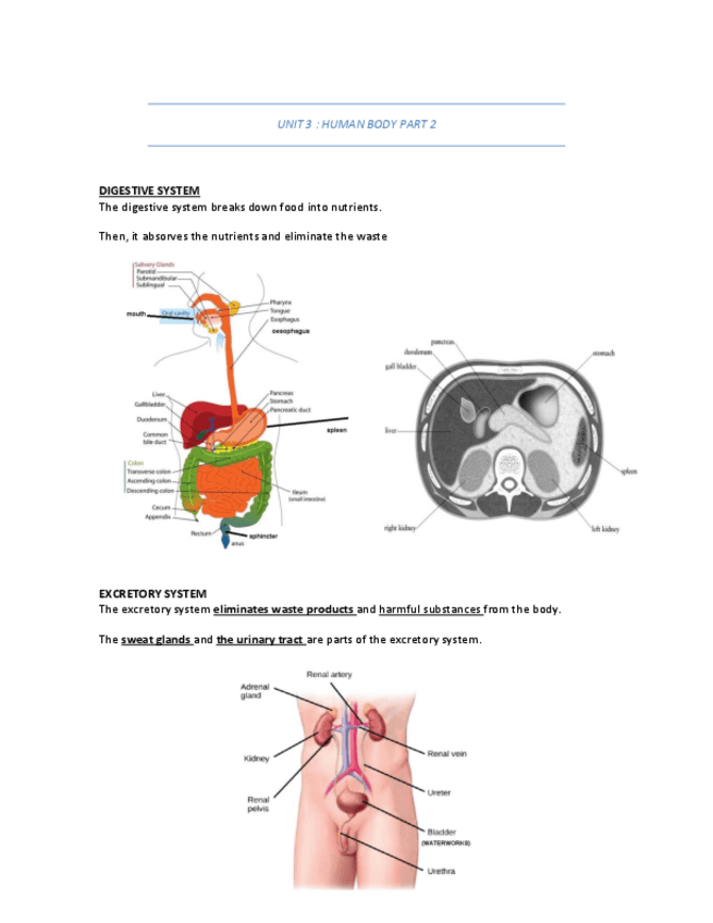 Miniatura del documento UNIT 3 PART 2.pdf