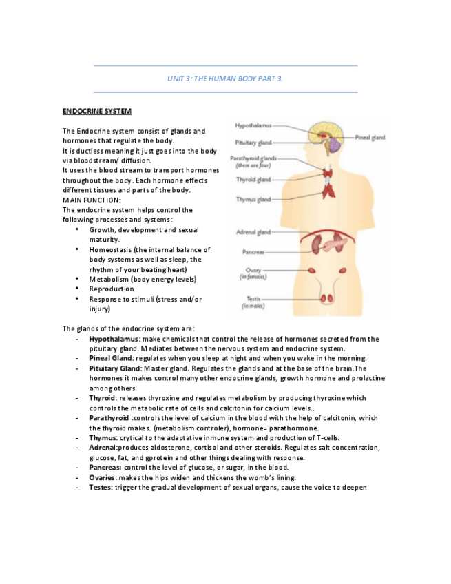 Miniatura del documento UNIT 3. PART 3.pdf