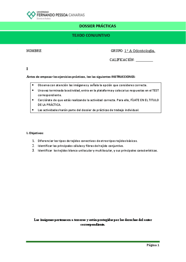 Miniatura del documento Tejido-Conjuntivo.pdf