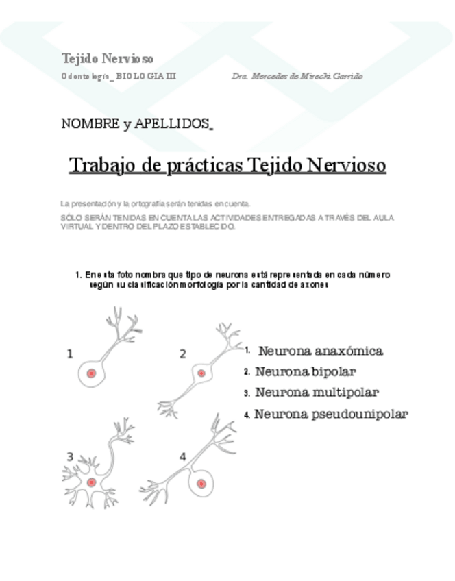 Miniatura del documento Tejido-Nervioso.pdf