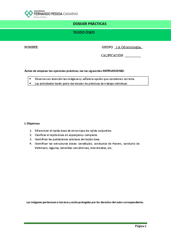 Miniatura del documento Tejido-Oseo.pdf