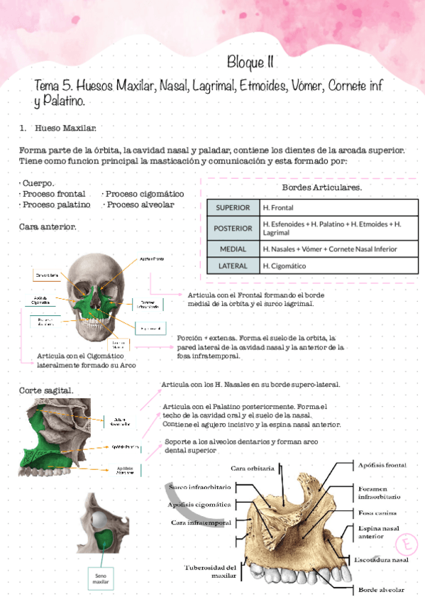 Miniatura del documento Primer-Examen.-Bloque-II-2.pdf