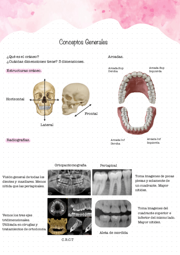 Miniatura del documento Conceptos-generales.pdf