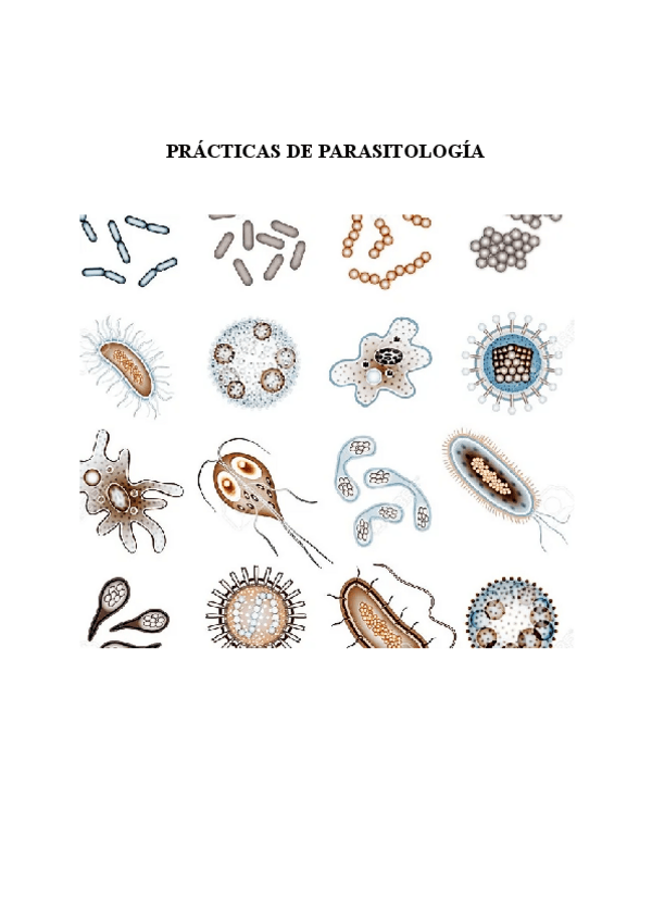 Miniatura del documento LibretaPracticas.pdf