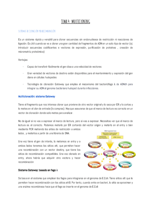 Miniatura del documento TEMA-4-MULTICLONING.pdf