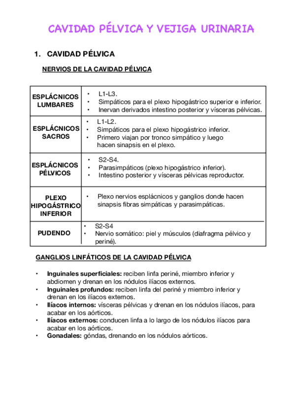 Miniatura del documento T40.-Vejiga-y-cavidad-pelvica.pdf
