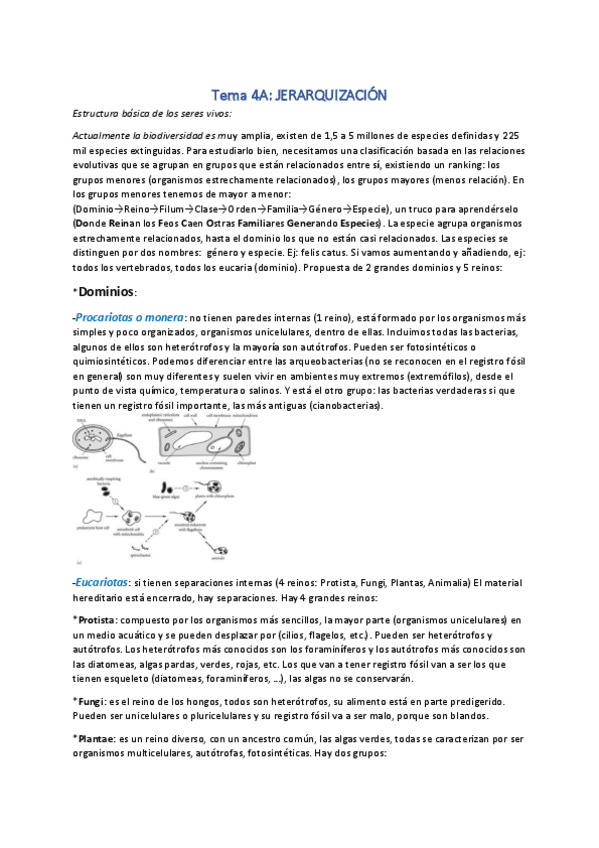 Miniatura del documento Tema 4 Bio.pdf