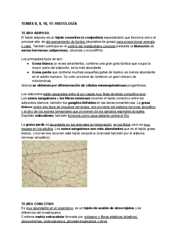 Miniatura del documento TEMAS-8-9-10-11-HISTOLOGIA.pdf