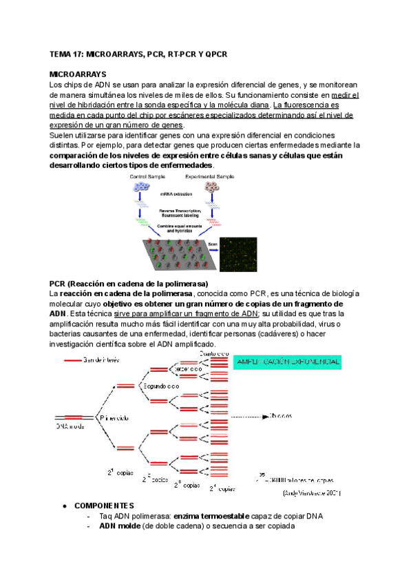 Miniatura del documento TEMA-17-MICROARRAYS-PCR-RT-PCR-Y-QPCR.pdf