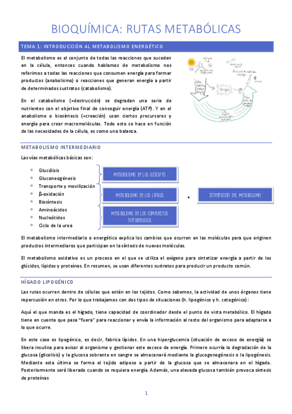 Miniatura del documento TEMA-1-Y-2-BIOQUIMICA.pdf