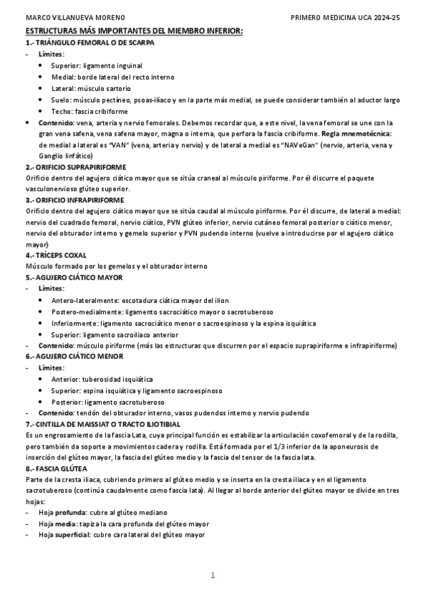 Miniatura del documento ESTRUCTURAS-MAS-IMPORTANTES-MIEMBRO-INFERIOR.pdf