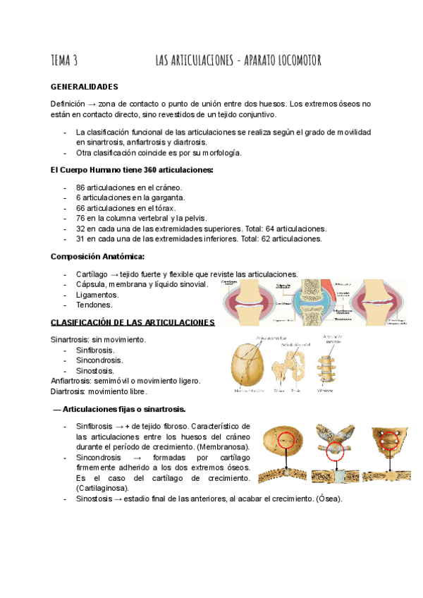 Miniatura del documento TEMA-3-FUNDAMENTOS.pdf