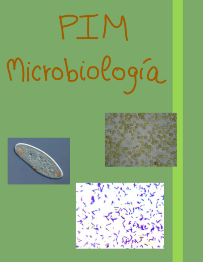 Miniatura del documento Todo-Microbiologia-PIM-bien-explicado.pdf