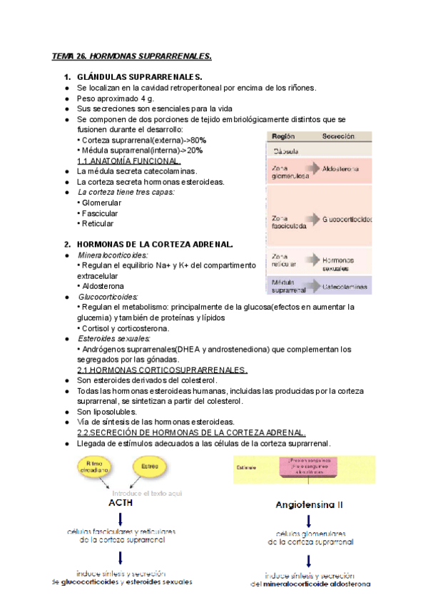 Miniatura del documento TEMA-26-FISIOLOGIA.pdf