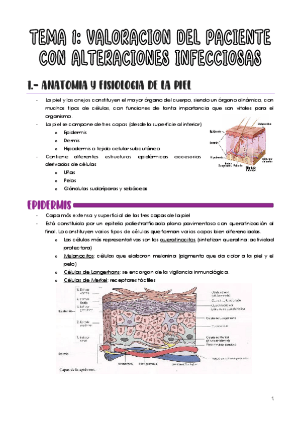 Miniatura del documento Unidad-3-Clinica-I.pdf