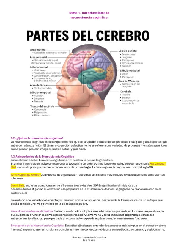 Miniatura del documento Resumen-neurociencia-cognitiva-Completo.pdf