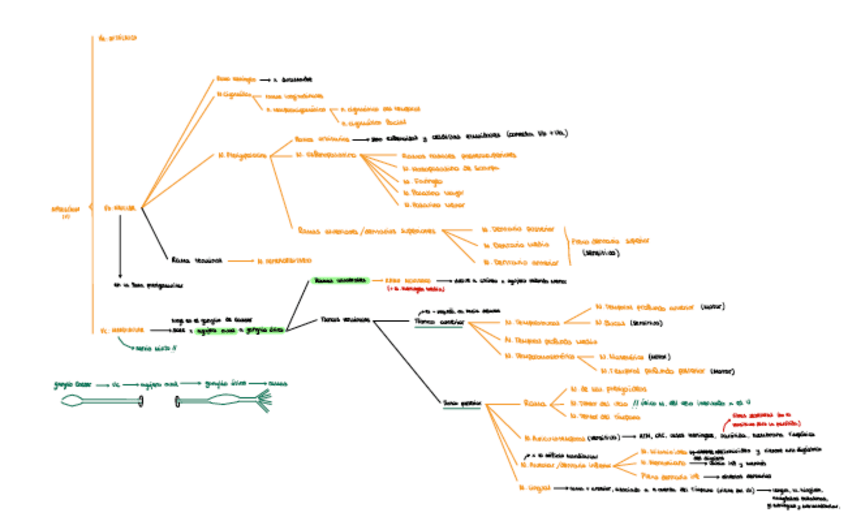 Miniatura del documento Nervio-Trigemino.pdf