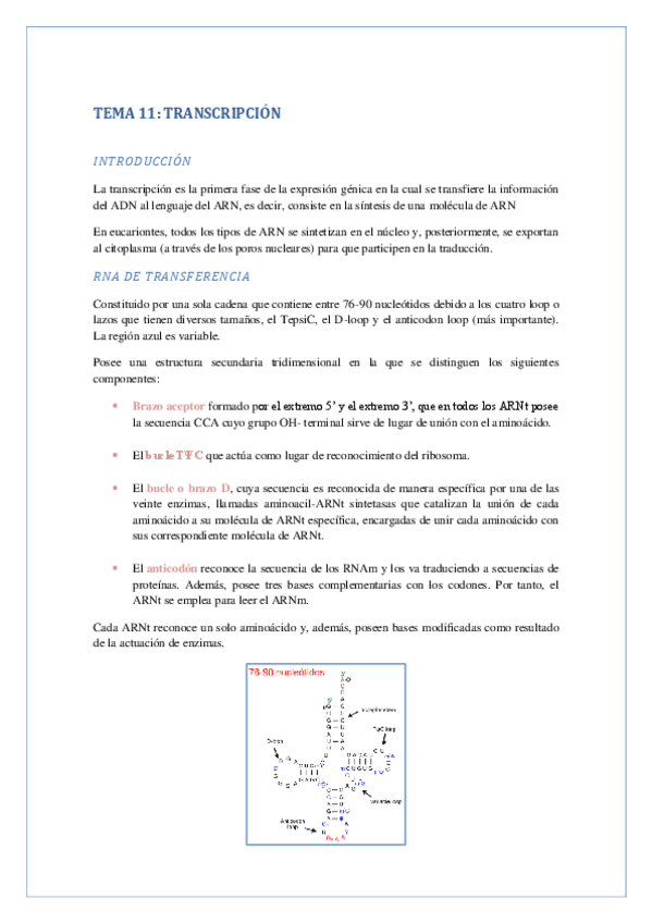 Miniatura del documento TRANSCRIPCION.pdf