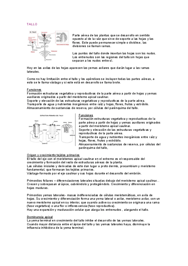 Miniatura del documento SEGUNDO-PARCIAL-BIOLOGIA.pdf