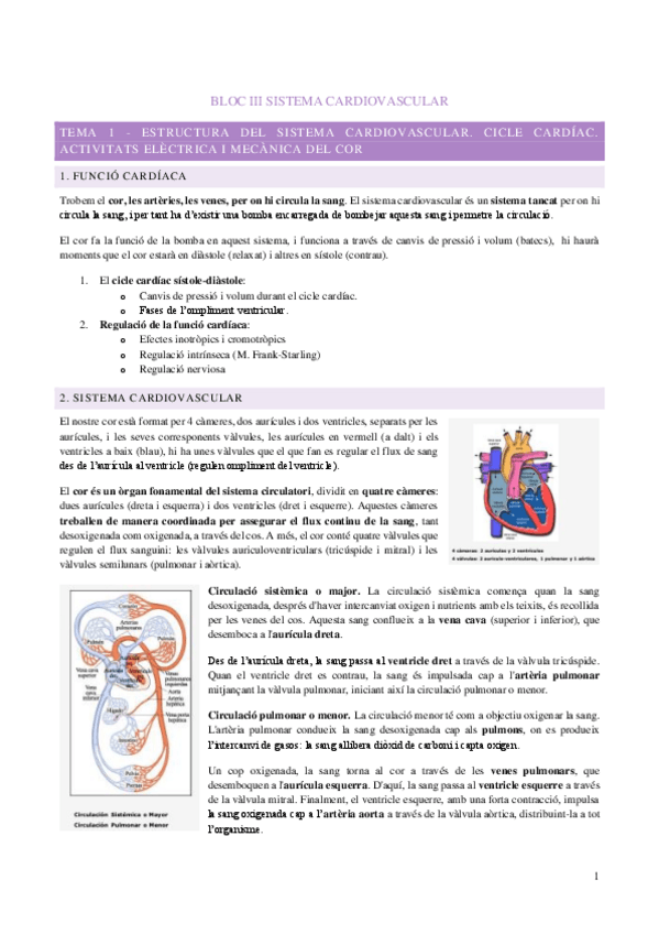 Miniatura del documento Apunts-fisio-2n-parcial-Cardio.pdf