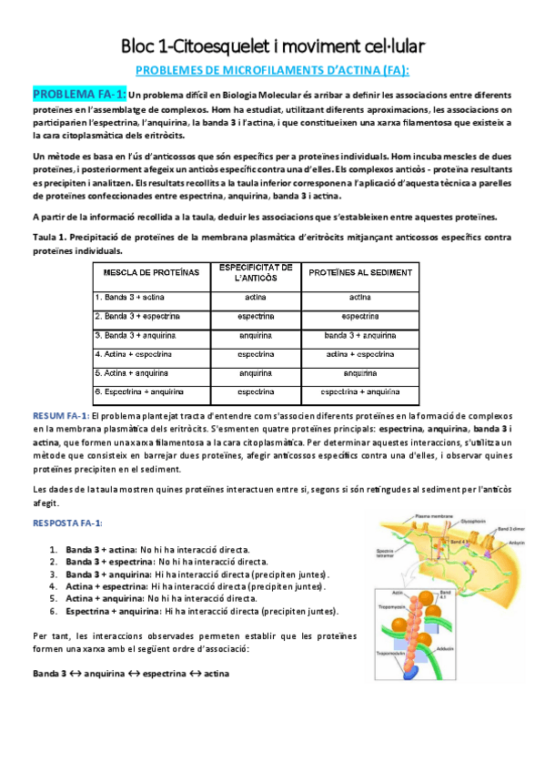 Miniatura del documento PROBLEMES-BLOCS-1-2-3.pdf