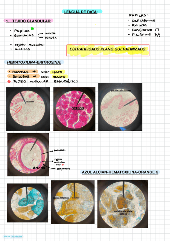 Miniatura del documento ApuntesPracticoBio.pdf