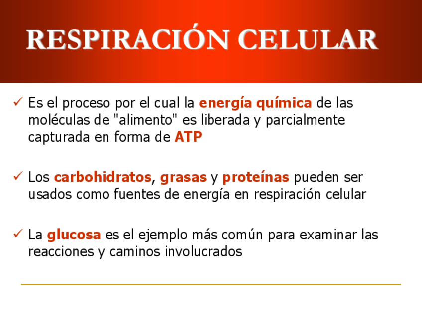 Miniatura del documento RESPIRACION-CELULAR.pdf